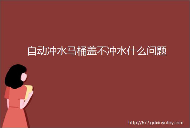 自动冲水马桶盖不冲水什么问题